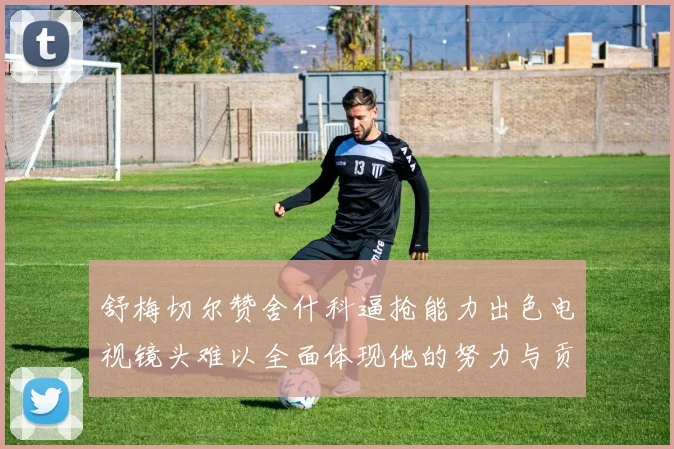 舒梅切尔赞舍什科逼抢能力出色电视镜头难以全面体现他的努力与贡献